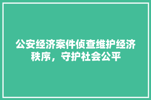公安经济案件侦查维护经济秩序,守护社会公平 公安经济案件侦查维护经济秩序,守护社会公平