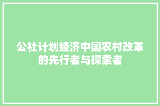 公社计划经济中国农村改革的先行者与探索者 公社计划经济中国农村改革的先行者与探索者