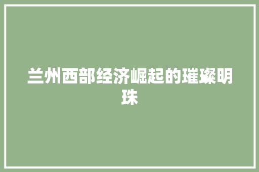 兰州西部经济崛起的璀璨明珠 兰州西部经济崛起的璀璨明珠