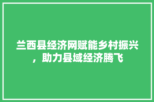兰西县经济网赋能乡村振兴,助力县域经济腾飞 兰西县经济网赋能乡村振兴,助力县域经济腾飞