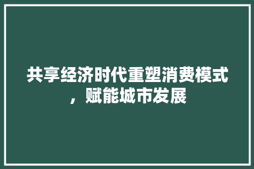 共享经济时代重塑消费模式,赋能城市发展 共享经济时代重塑消费模式,赋能城市发展