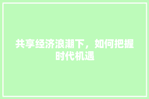 共享经济浪潮下,如何把握时代机遇 共享经济浪潮下,如何把握时代机遇