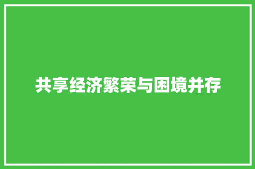 共享经济繁荣与困境并存 共享经济繁荣与困境并存