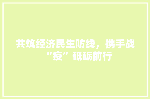 共筑经济民生防线，携手战“疫”砥砺前行