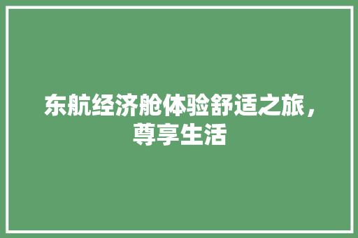 东航经济舱体验舒适之旅,尊享生活 东航经济舱体验舒适之旅,尊享生活