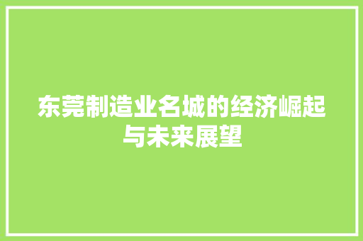 东莞制造业名城的经济崛起与未来展望 东莞制造业名城的经济崛起与未来展望