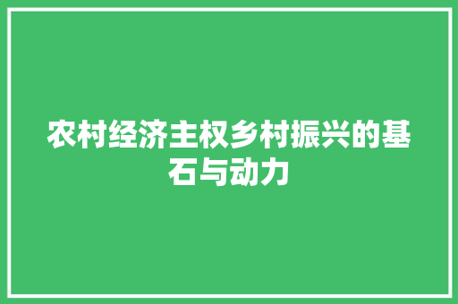 农村经济主权乡村振兴的基石与动力 农村经济主权乡村振兴的基石与动力