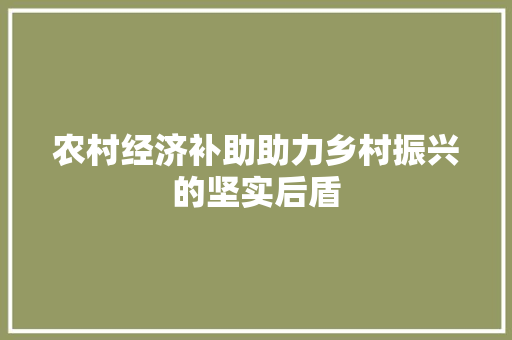 农村经济补助助力乡村振兴的坚实后盾 农村经济补助助力乡村振兴的坚实后盾