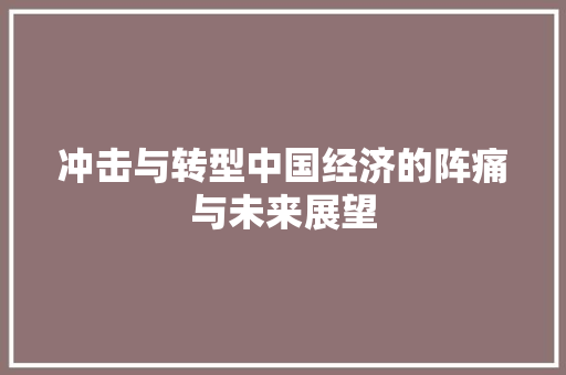 冲击与转型中国经济的阵痛与未来展望 冲击与转型中国经济的阵痛与未来展望