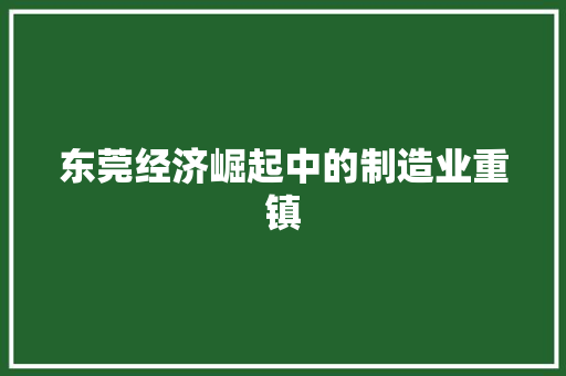 东莞经济崛起中的制造业重镇 东莞经济崛起中的制造业重镇