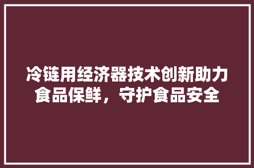 冷链用经济器技术创新助力食品保鲜,守护食品安全 冷链用经济器技术创新助力食品保鲜,守护食品安全