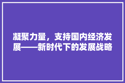 凝聚力量,支持国内经济发展——新时代下的发展战略与方法 凝聚力量,支持国内经济发展——新时代下的发展战略与方法