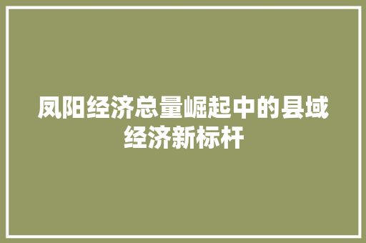 凤阳经济总量崛起中的县域经济新标杆 凤阳经济总量崛起中的县域经济新标杆