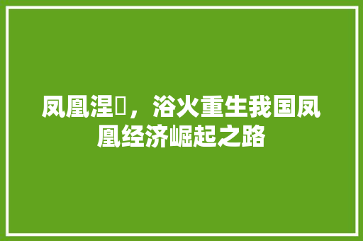 凤凰涅槃,浴火重生我国凤凰经济崛起之路 凤凰涅槃,浴火重生我国凤凰经济崛起之路