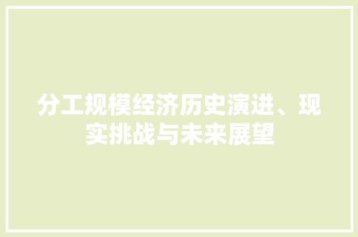 分工规模经济历史演进、现实挑战与未来展望 分工规模经济历史演进、现实挑战与未来展望
