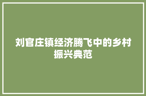 刘官庄镇经济腾飞中的乡村振兴典范 刘官庄镇经济腾飞中的乡村振兴典范