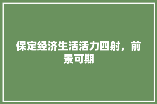 保定经济生活活力四射,前景可期 保定经济生活活力四射,前景可期