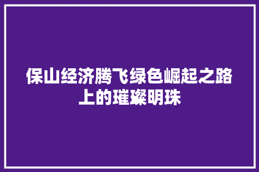 保山经济腾飞绿色崛起之路上的璀璨明珠 保山经济腾飞绿色崛起之路上的璀璨明珠