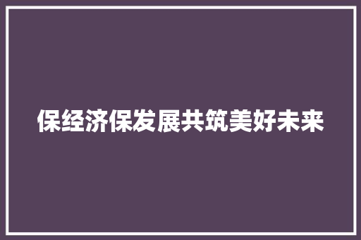 保经济保发展共筑美好未来 保经济保发展共筑美好未来