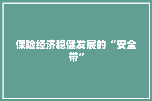 保险经济稳健发展的“安全带” 保险经济稳健发展的“安全带”