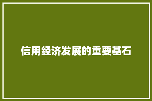 信用经济发展的重要基石 信用经济发展的重要基石