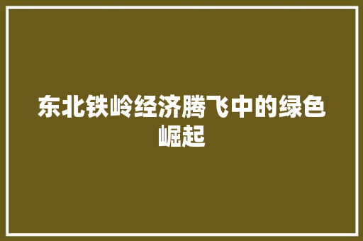 东北铁岭经济腾飞中的绿色崛起 东北铁岭经济腾飞中的绿色崛起