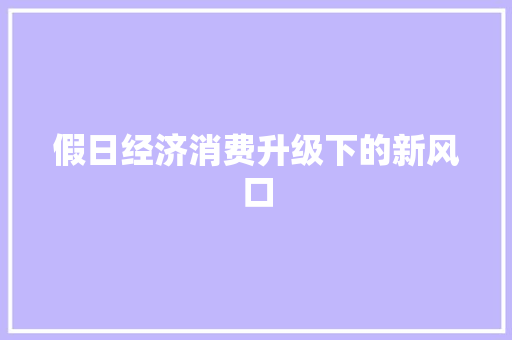 假日经济消费升级下的新风口 假日经济消费升级下的新风口