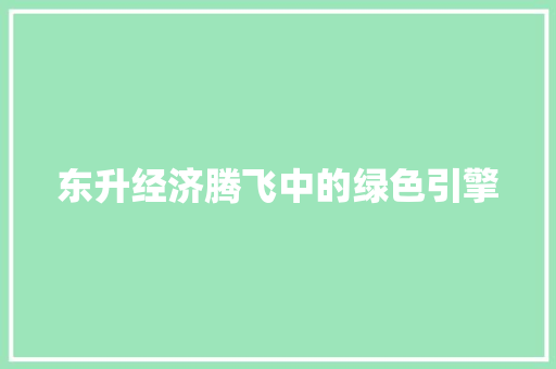 东升经济腾飞中的绿色引擎 东升经济腾飞中的绿色引擎