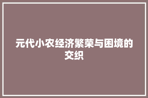 元代小农经济繁荣与困境的交织 元代小农经济繁荣与困境的交织