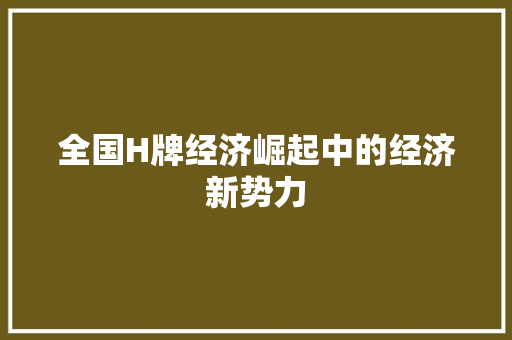 全国H牌经济崛起中的经济新势力 全国H牌经济崛起中的经济新势力