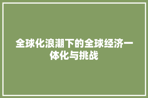 全球化浪潮下的全球经济一体化与挑战 全球化浪潮下的全球经济一体化与挑战