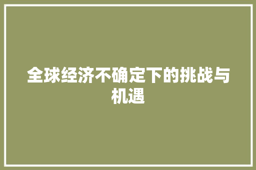 全球经济不确定下的挑战与机遇 全球经济不确定下的挑战与机遇