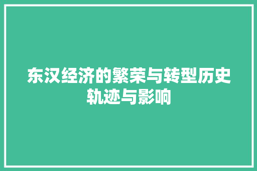 东汉经济的繁荣与转型历史轨迹与影响 东汉经济的繁荣与转型历史轨迹与影响
