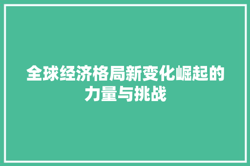 全球经济格局新变化崛起的力量与挑战 全球经济格局新变化崛起的力量与挑战