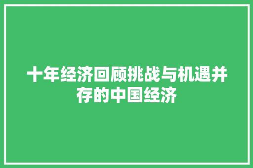 十年经济回顾挑战与机遇并存的中国经济 十年经济回顾挑战与机遇并存的中国经济