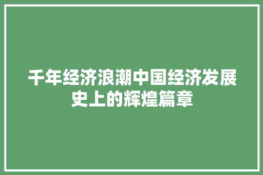 千年经济浪潮中国经济发展史上的辉煌篇章 千年经济浪潮中国经济发展史上的辉煌篇章