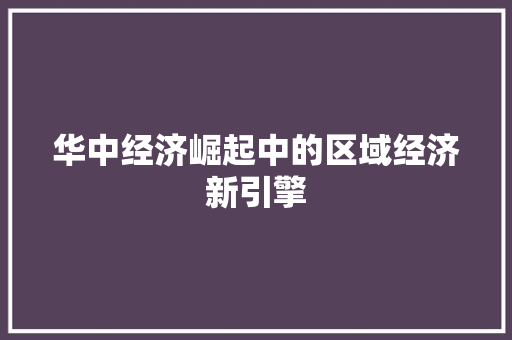 华中经济崛起中的区域经济新引擎 华中经济崛起中的区域经济新引擎
