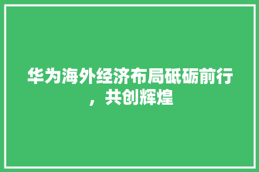 华为海外经济布局砥砺前行,共创辉煌 华为海外经济布局砥砺前行,共创辉煌