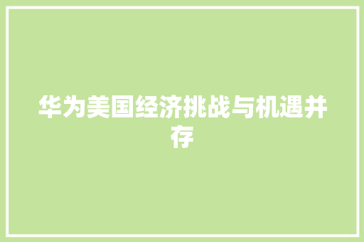 华为美国经济挑战与机遇并存 华为美国经济挑战与机遇并存