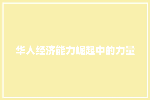 华人经济能力崛起中的力量 华人经济能力崛起中的力量