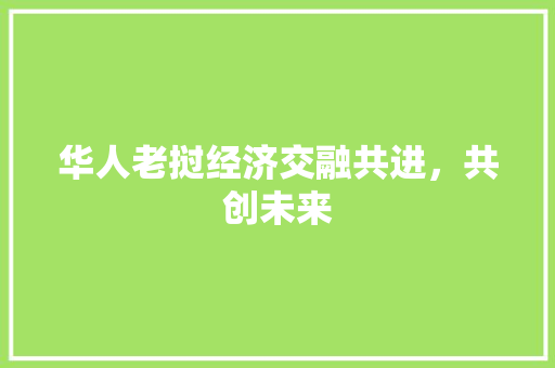 华人老挝经济交融共进,共创未来 华人老挝经济交融共进,共创未来