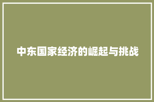 中东国家经济的崛起与挑战 中东国家经济的崛起与挑战