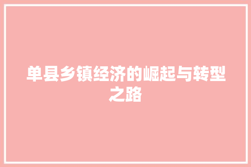 单县乡镇经济的崛起与转型之路 单县乡镇经济的崛起与转型之路