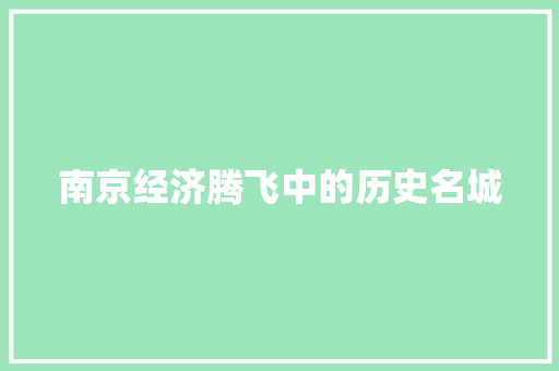 南京经济腾飞中的历史名城 南京经济腾飞中的历史名城