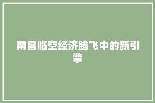 南昌临空经济腾飞中的新引擎 南昌临空经济腾飞中的新引擎