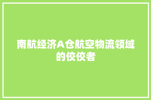 南航经济A仓航空物流领域的佼佼者 南航经济A仓航空物流领域的佼佼者