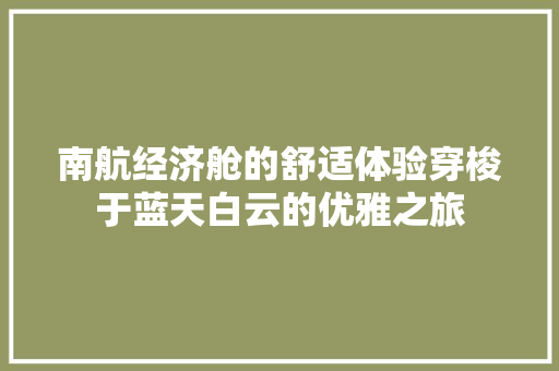 南航经济舱的舒适体验穿梭于蓝天白云的优雅之旅 南航经济舱的舒适体验穿梭于蓝天白云的优雅之旅