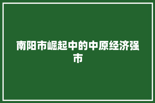 南阳市崛起中的中原经济强市 南阳市崛起中的中原经济强市