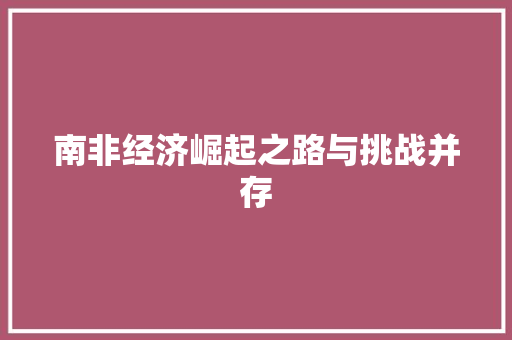 南非经济崛起之路与挑战并存 南非经济崛起之路与挑战并存