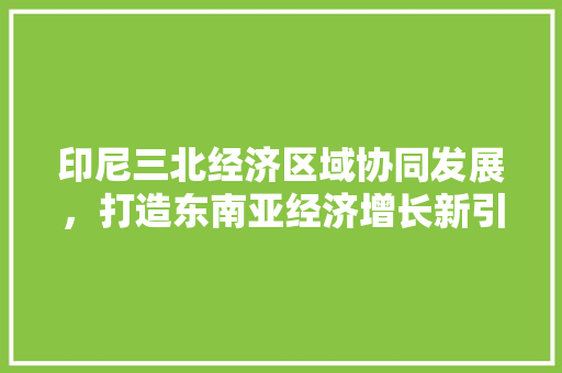印尼三北经济区域协同发展,打造东南亚经济增长新引擎 印尼三北经济区域协同发展,打造东南亚经济增长新引擎